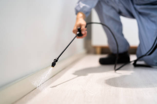 Rodent Entry Point Assessment in Arlington