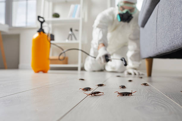 Commercial Rodent Management in Arlington